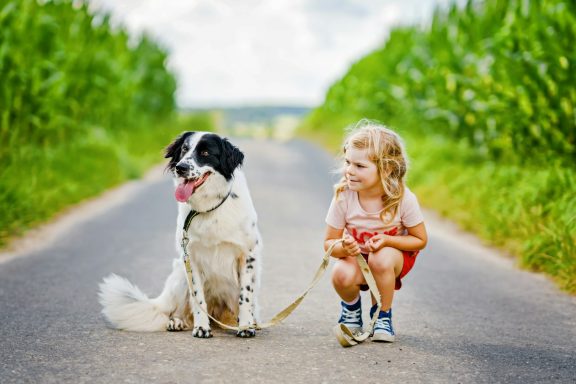 Kids & Dogs Kids & Dogs