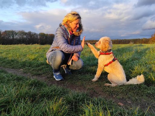 Individuelles Einzelcoaching